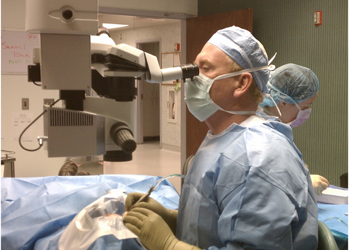 ganin Langone Medical Center: ganin Langone Leads UHC’s Patient Safety and Quality Rankings