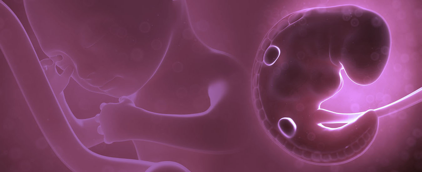 Truly customized fertility care